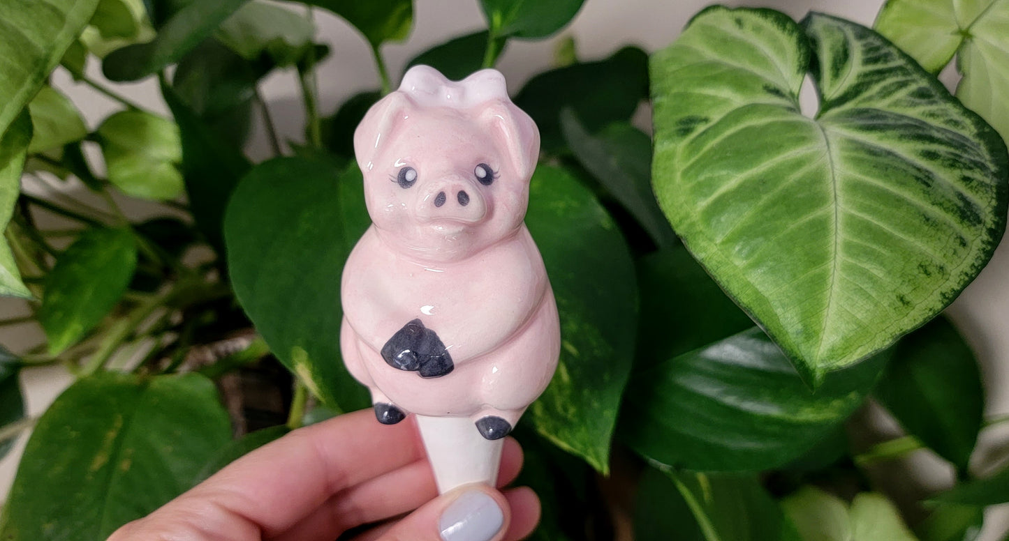 Pig Plant Watering Spike