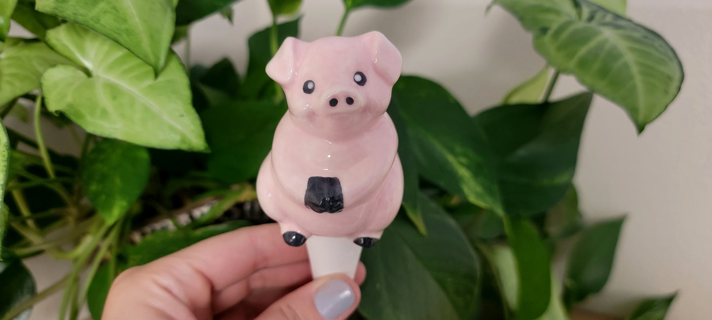 Pig Plant Watering Spike