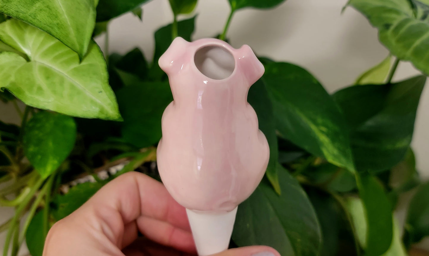 Pig Plant Watering Spike