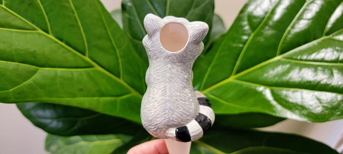 Raccoon Watering Spike