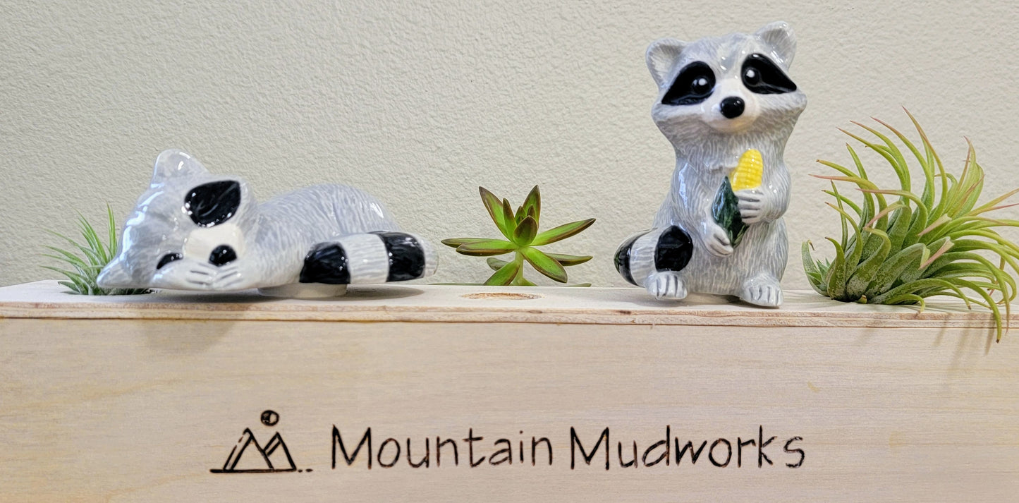 Raccoon Watering Spike