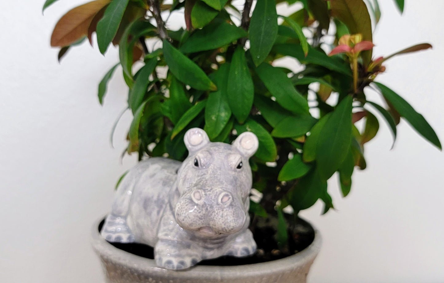 Hippo Watering Spike