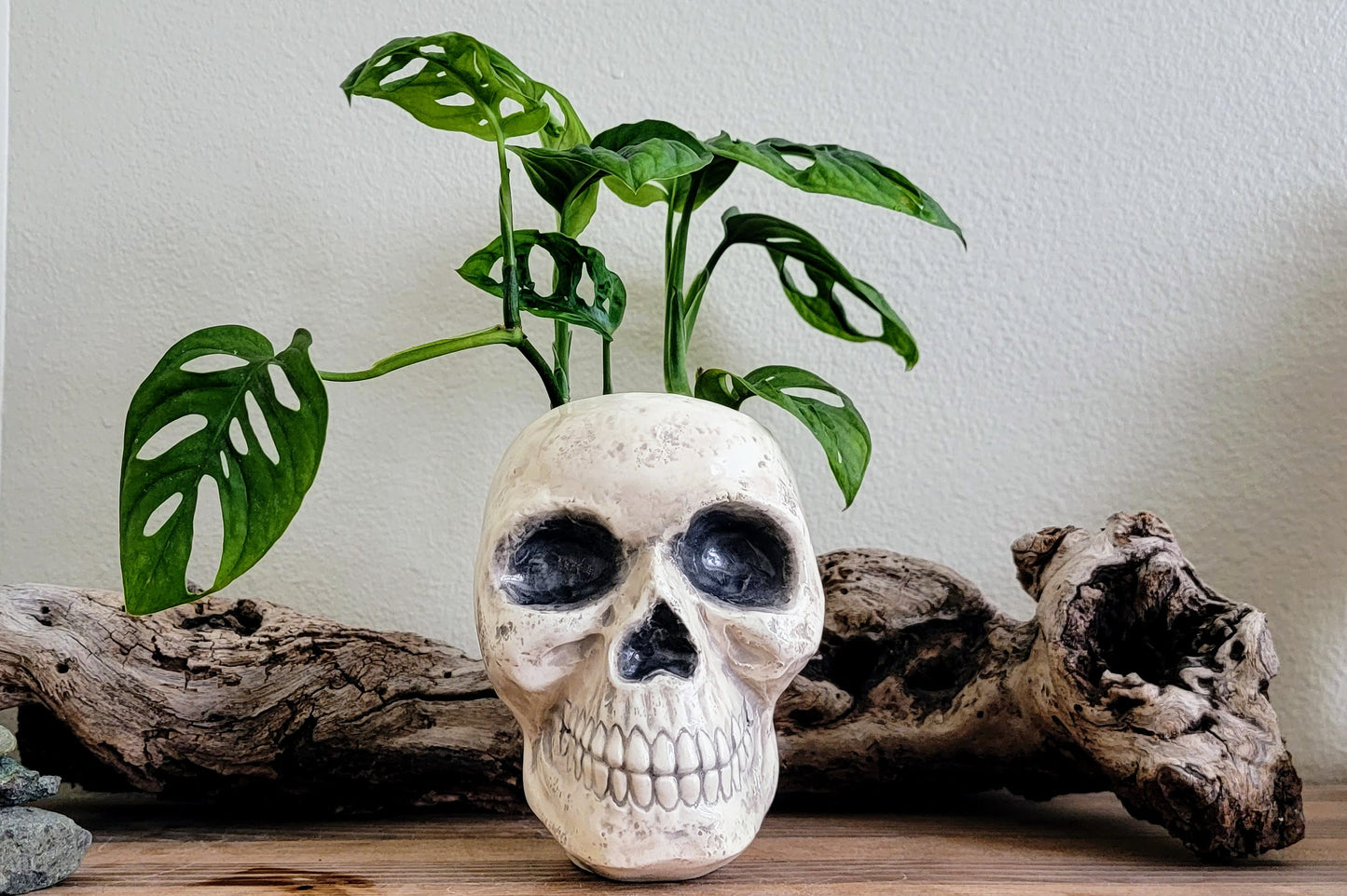 Skull Planter Pot