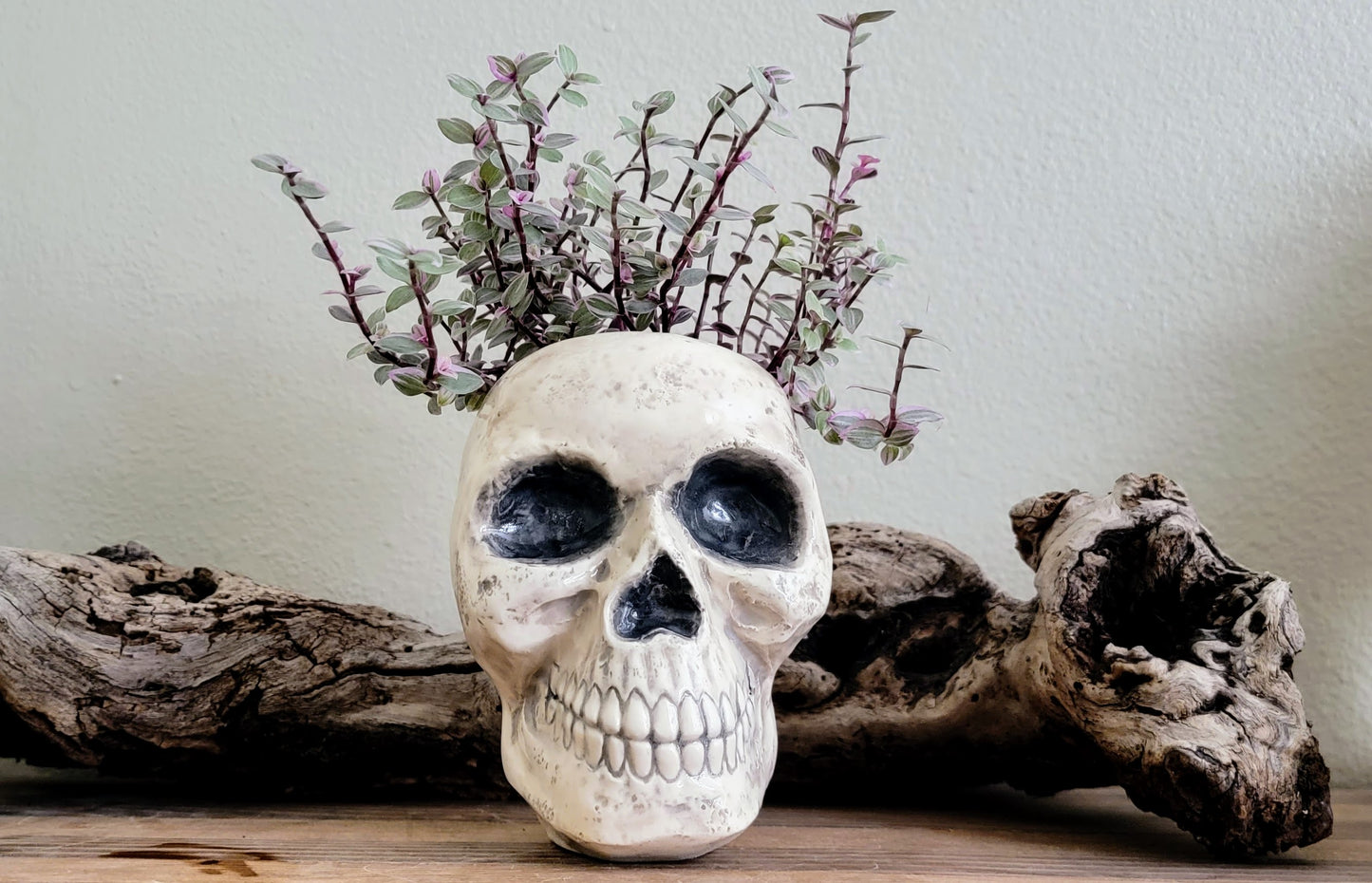 Skull Planter