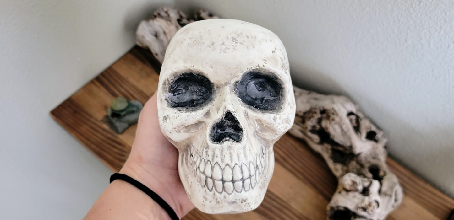 Skull Planter Pot