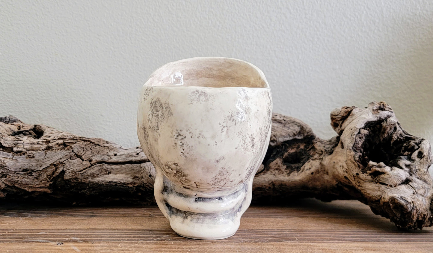 Skull Planter Pot