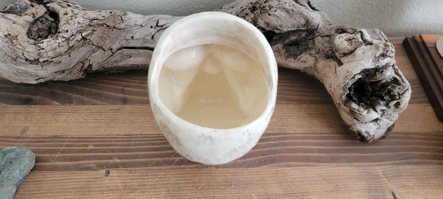 Skull Planter Pot