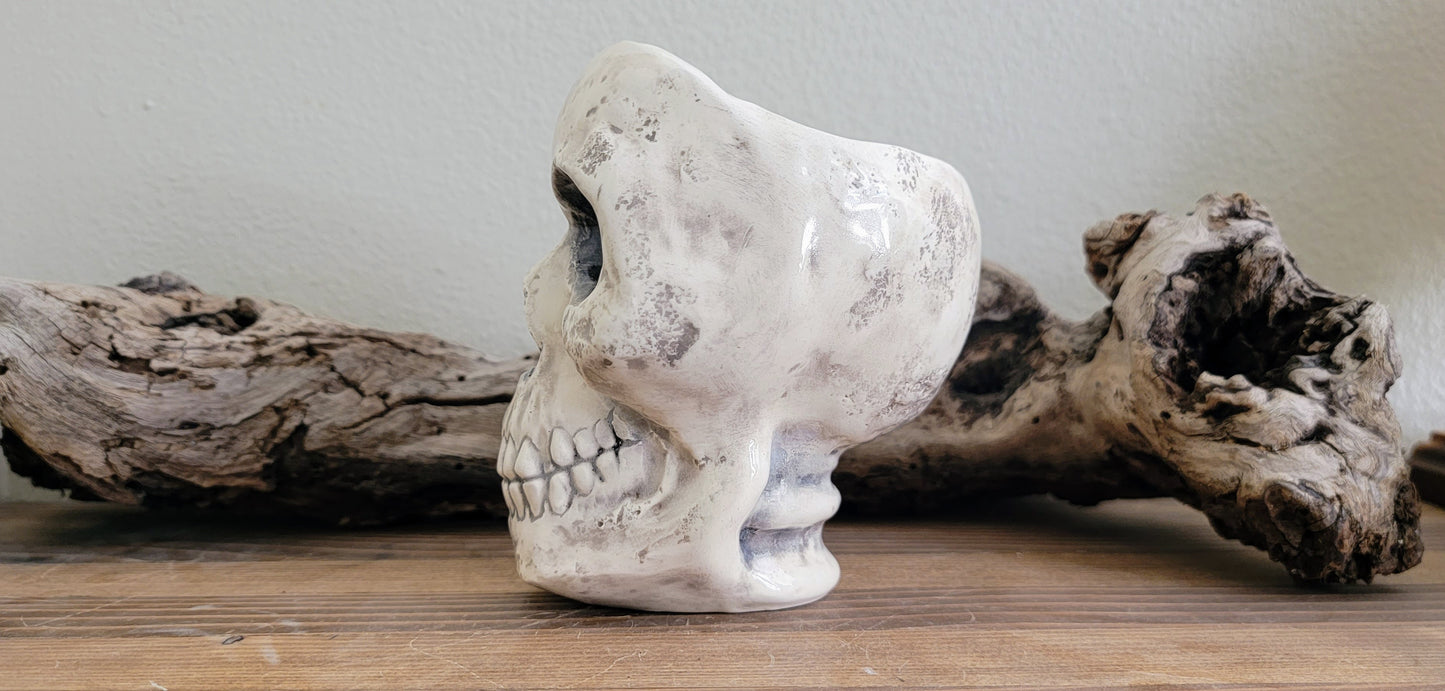 Skull Planter Pot