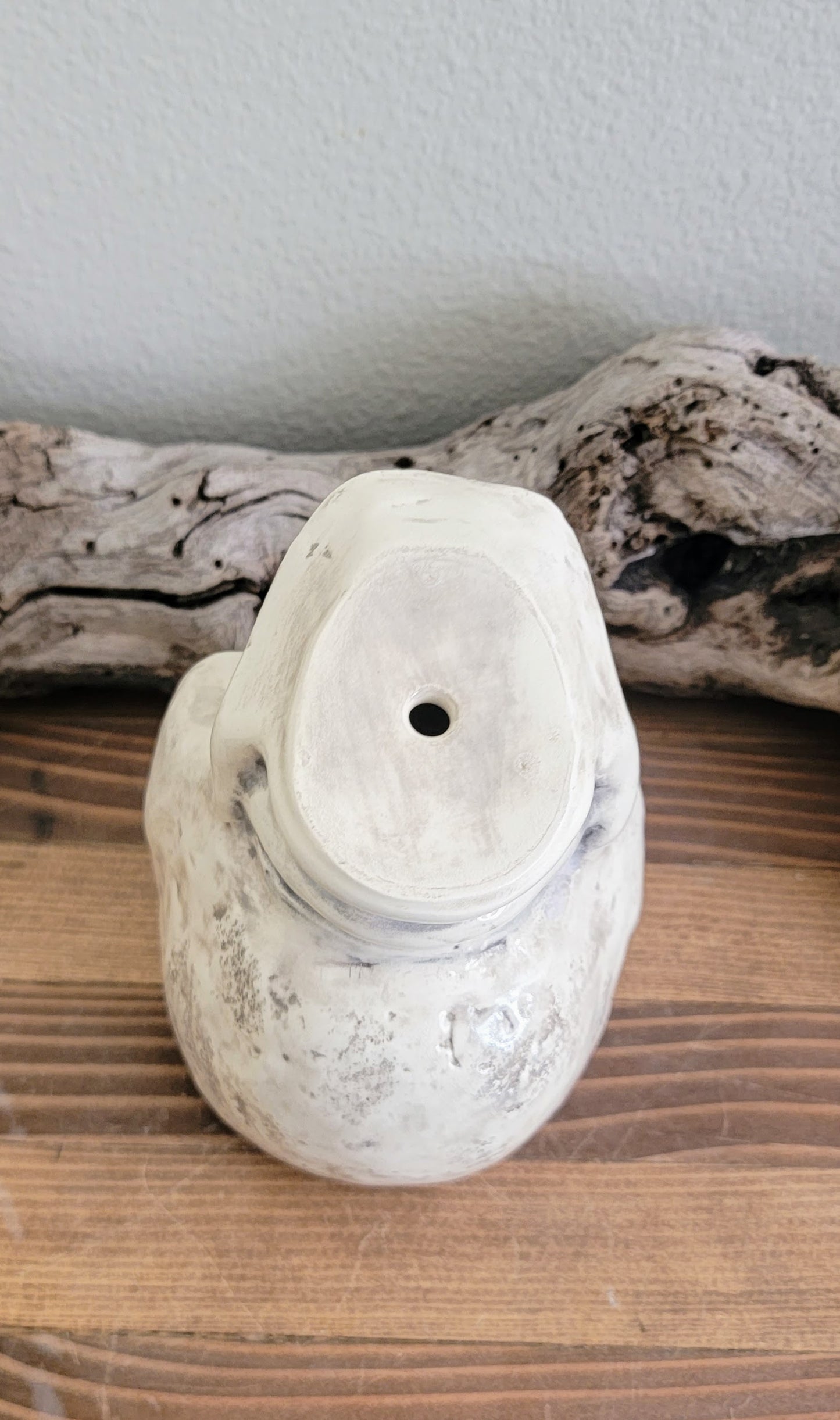 Skull Planter Pot