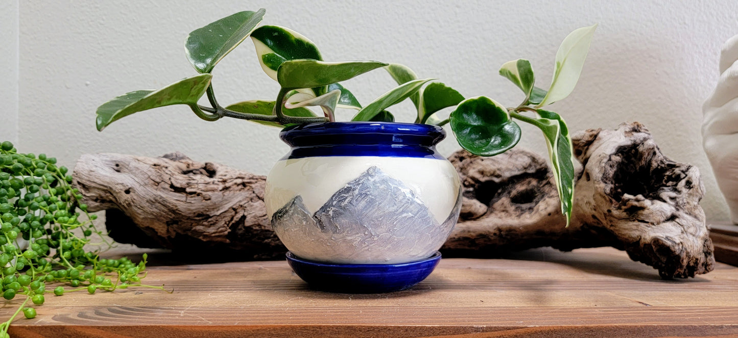 Colorado Mountain Planter