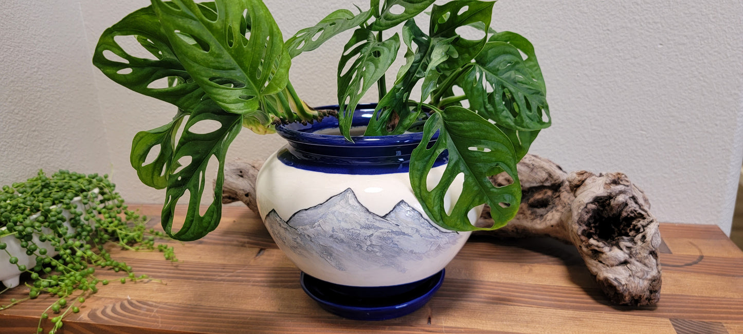 Colorado Mountain Planter