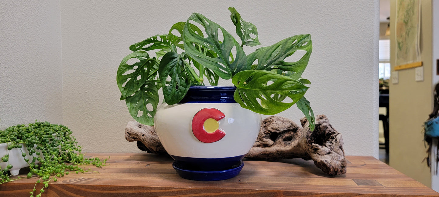 Colorado Mountain Planter