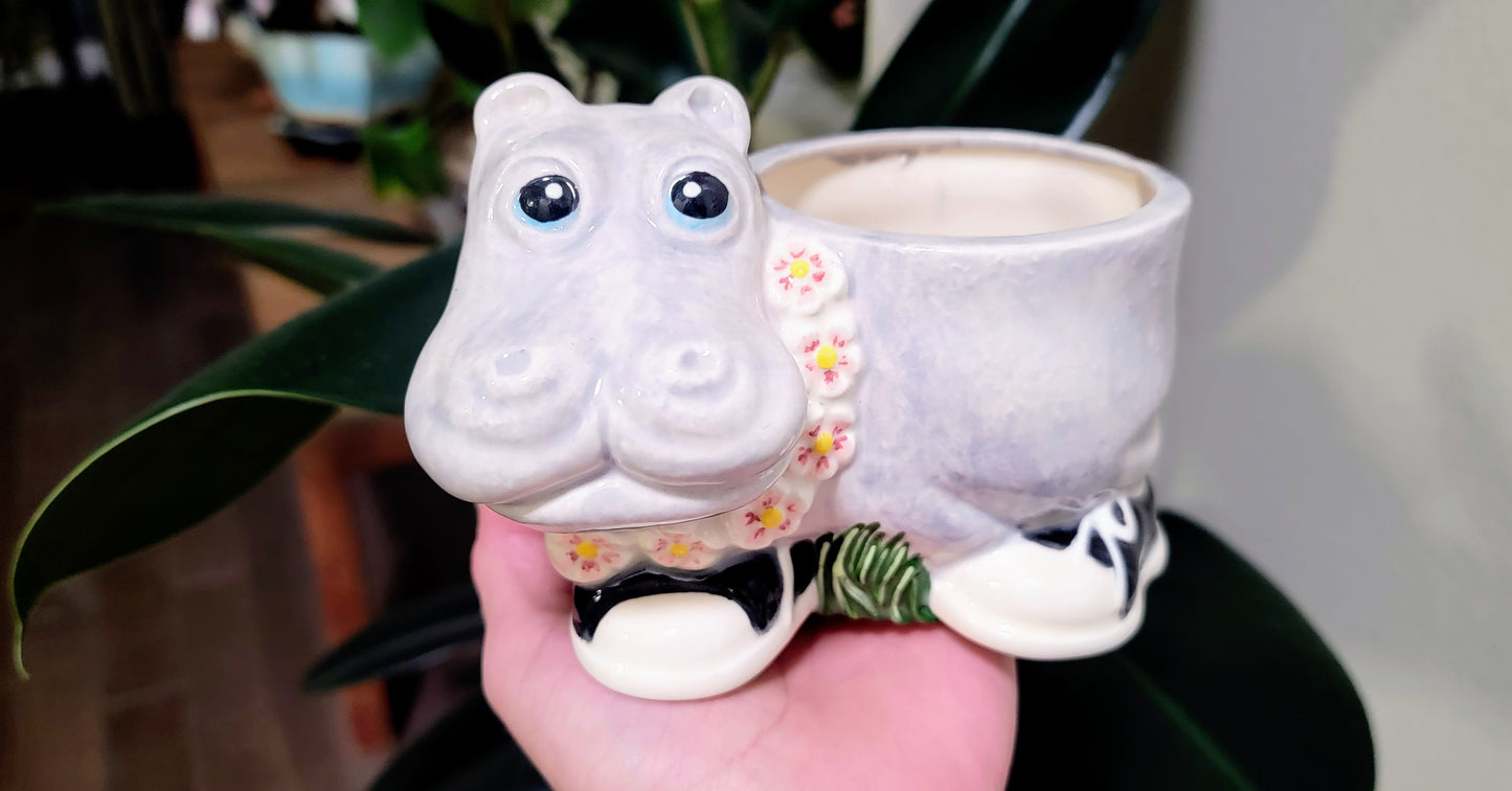 Hipster Hippo Planter