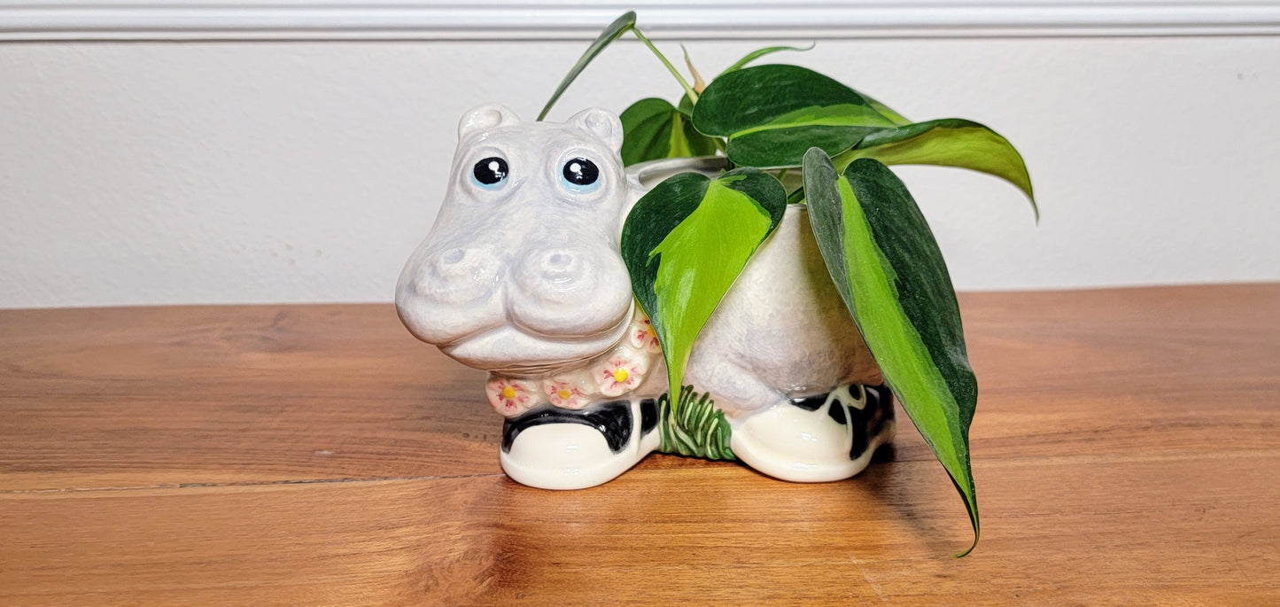 Hipster Hippo Planter