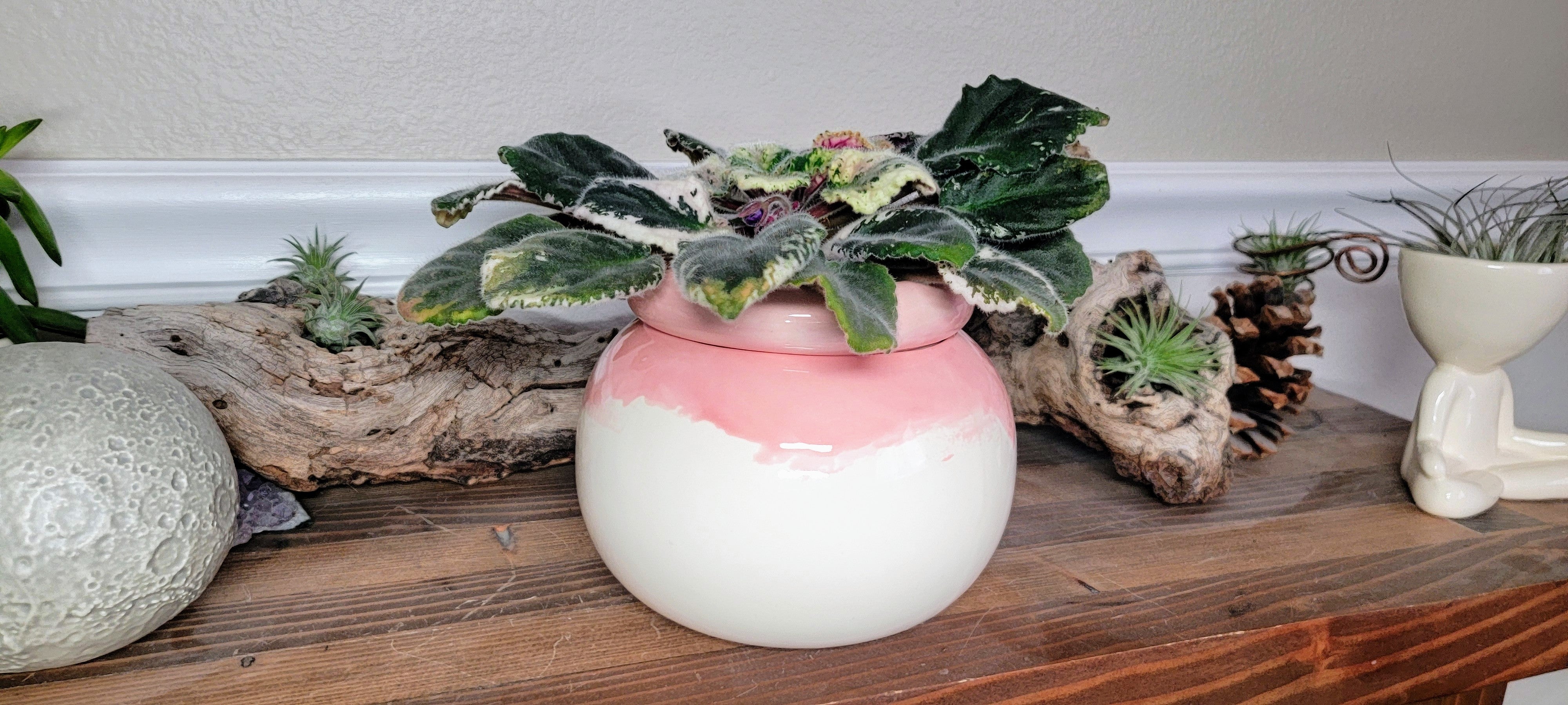 mauve plant pot Medium Round Self Watering / African Violet Pot – Mountain Mudworks