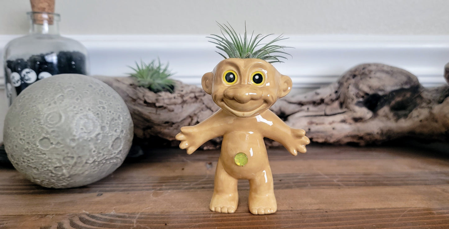 Treasure Troll Air Plant Holder
