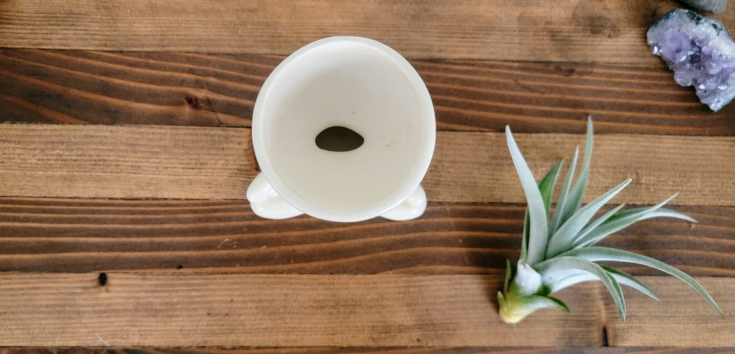 Yogi Airhead Plant Holder