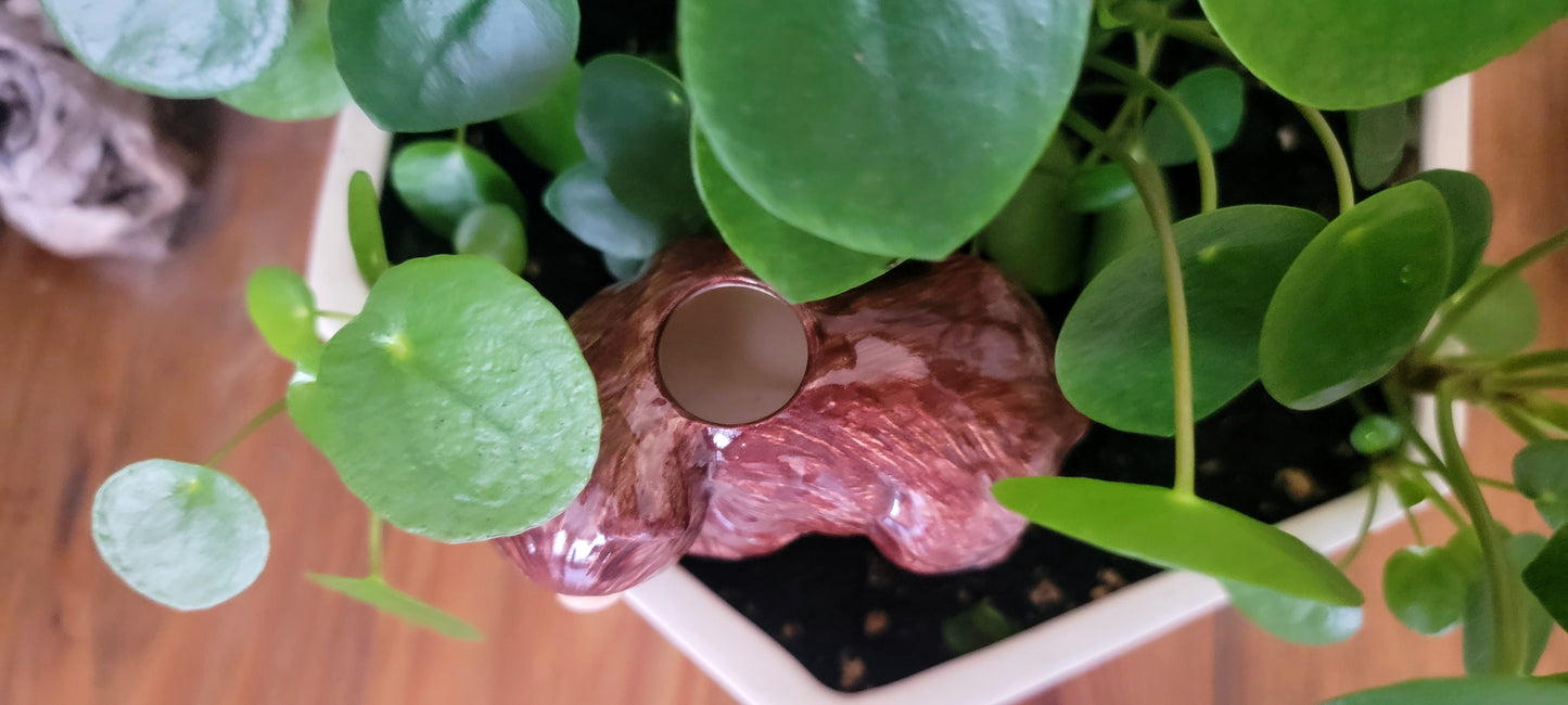 Bear Watering Spike