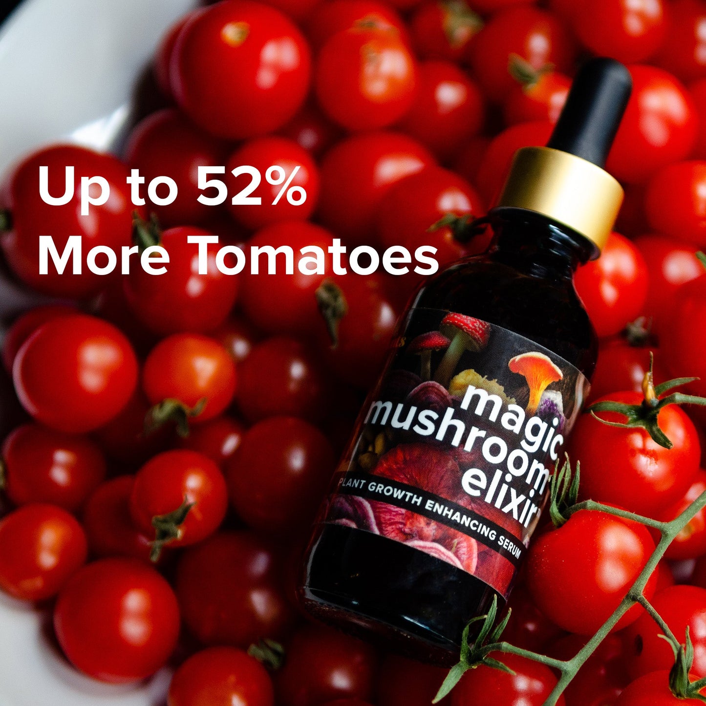 Magic Mushroom Elixir by Love, Plants
