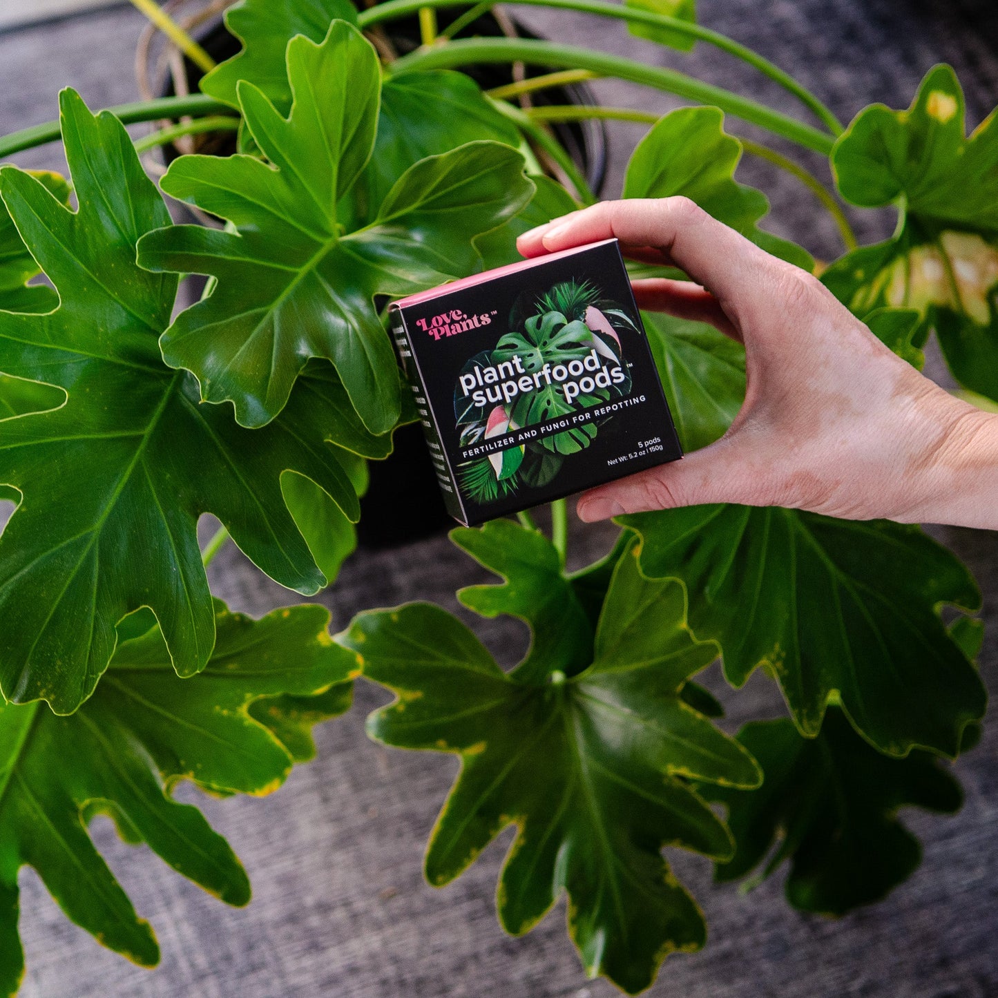Plant Superfood Pods by Love, Plants
