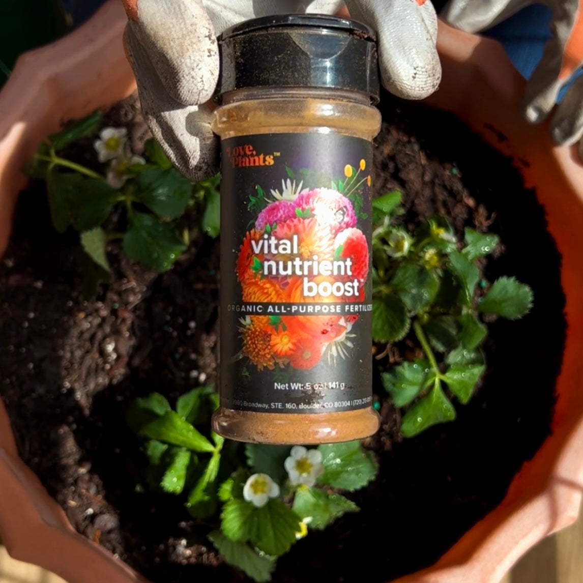 Vital Nutrient Boost by Love, Plants