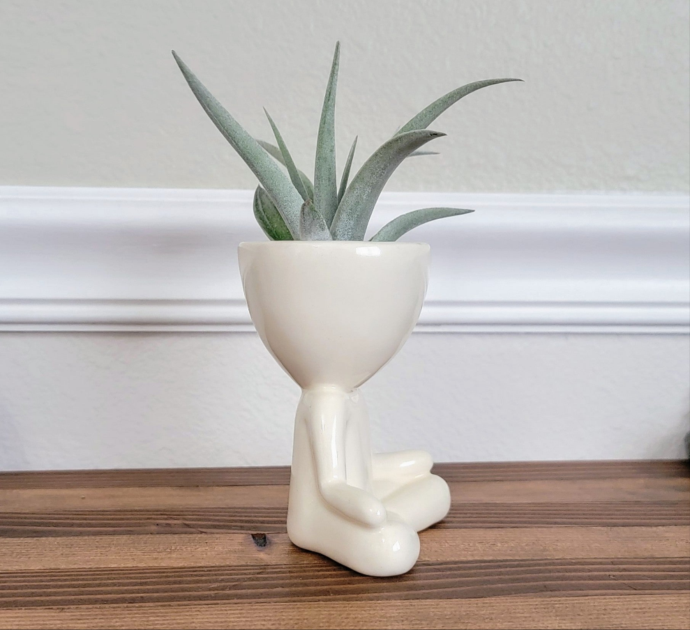 Yogi Airhead Plant Holder