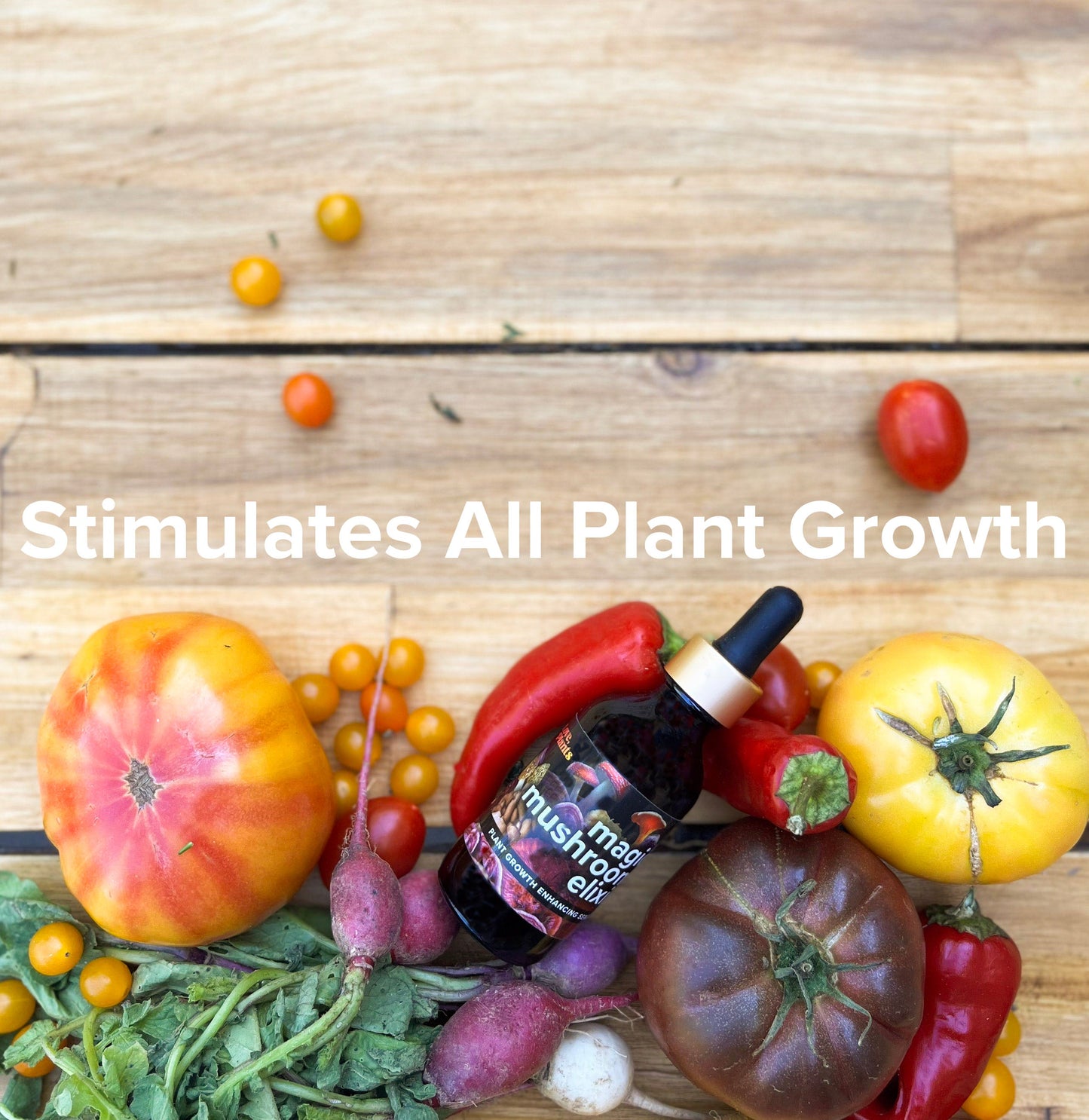 Magic Mushroom Elixir by Love, Plants