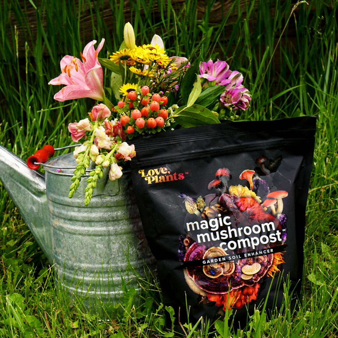 Magic Mushroom Compost by Love, Plants