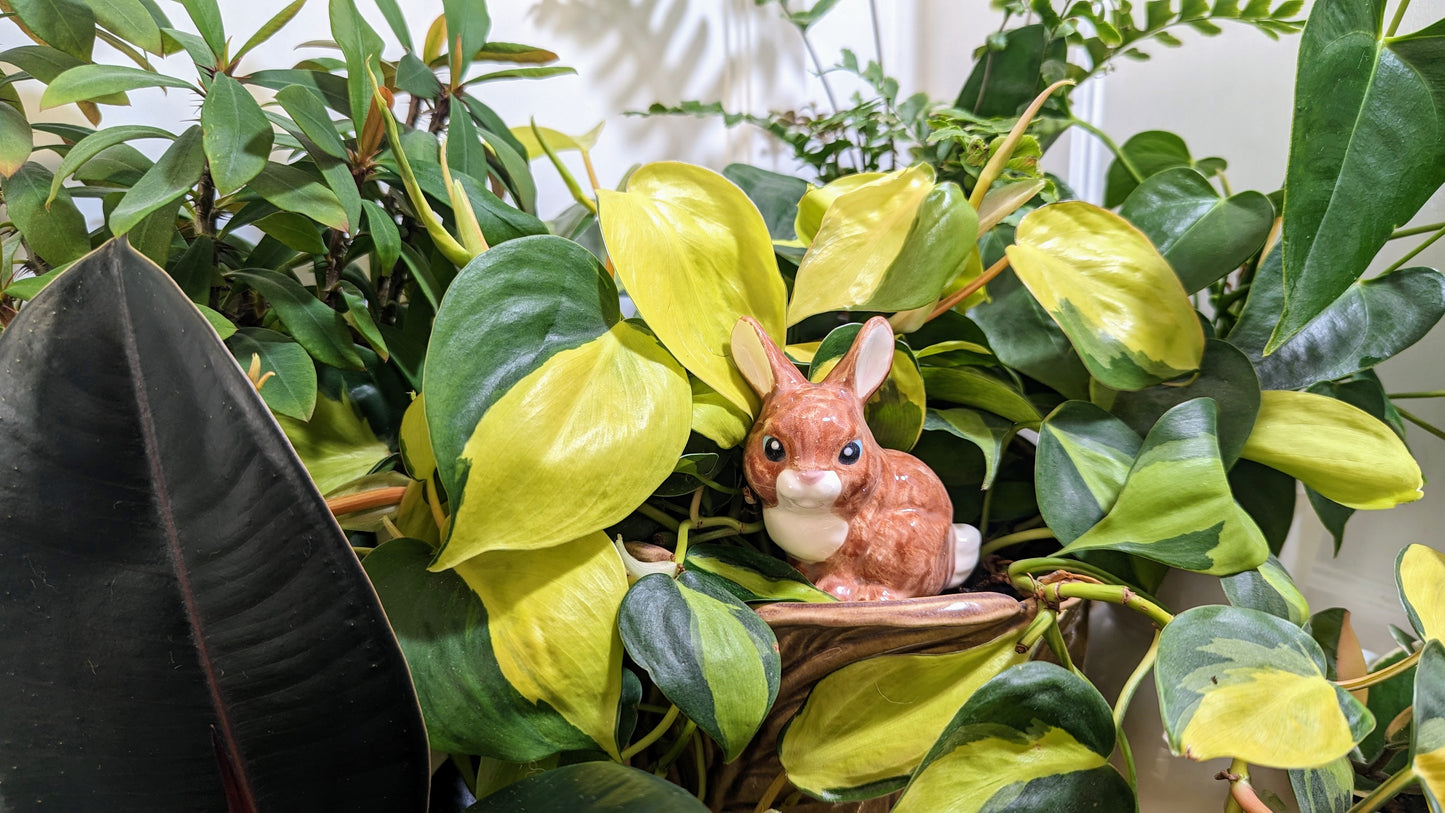 Bunny Rabbit Watering Spike