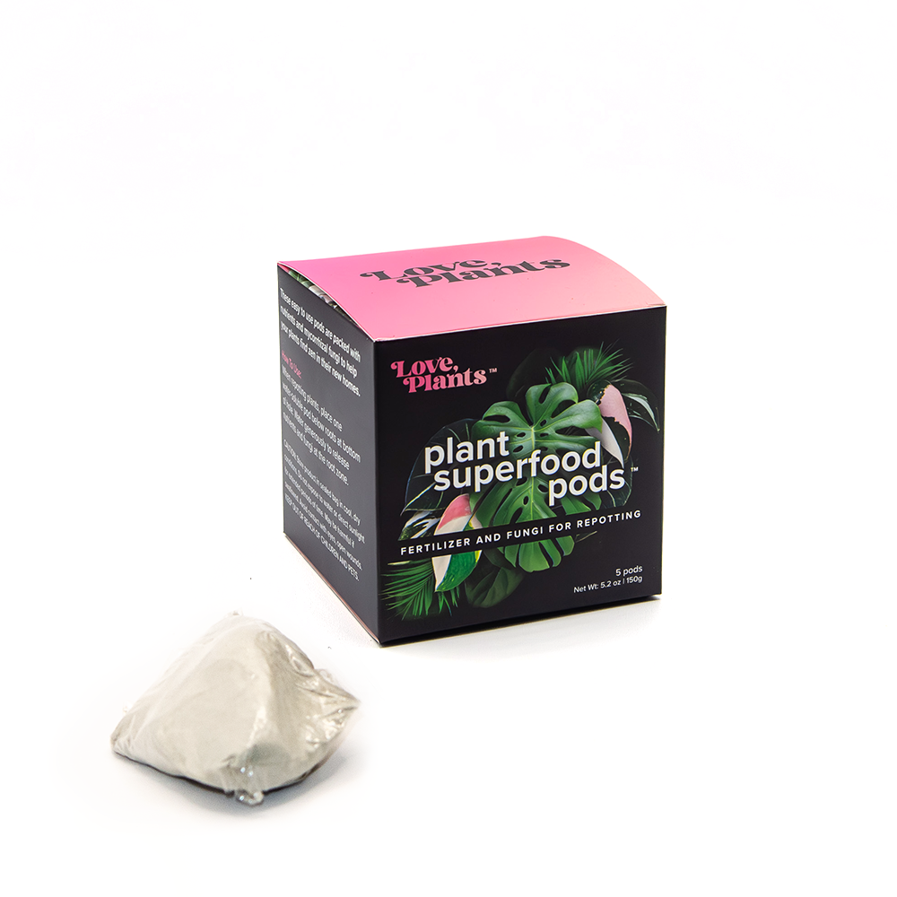 Houseplant Repotting Kit by Love, Plants