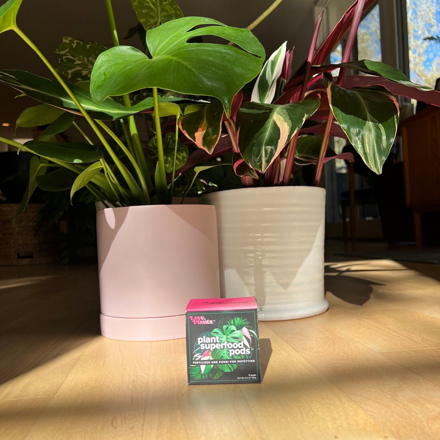 Plant Superfood Pods by Love, Plants