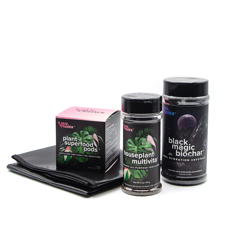 Houseplant Repotting Kit by Love, Plants