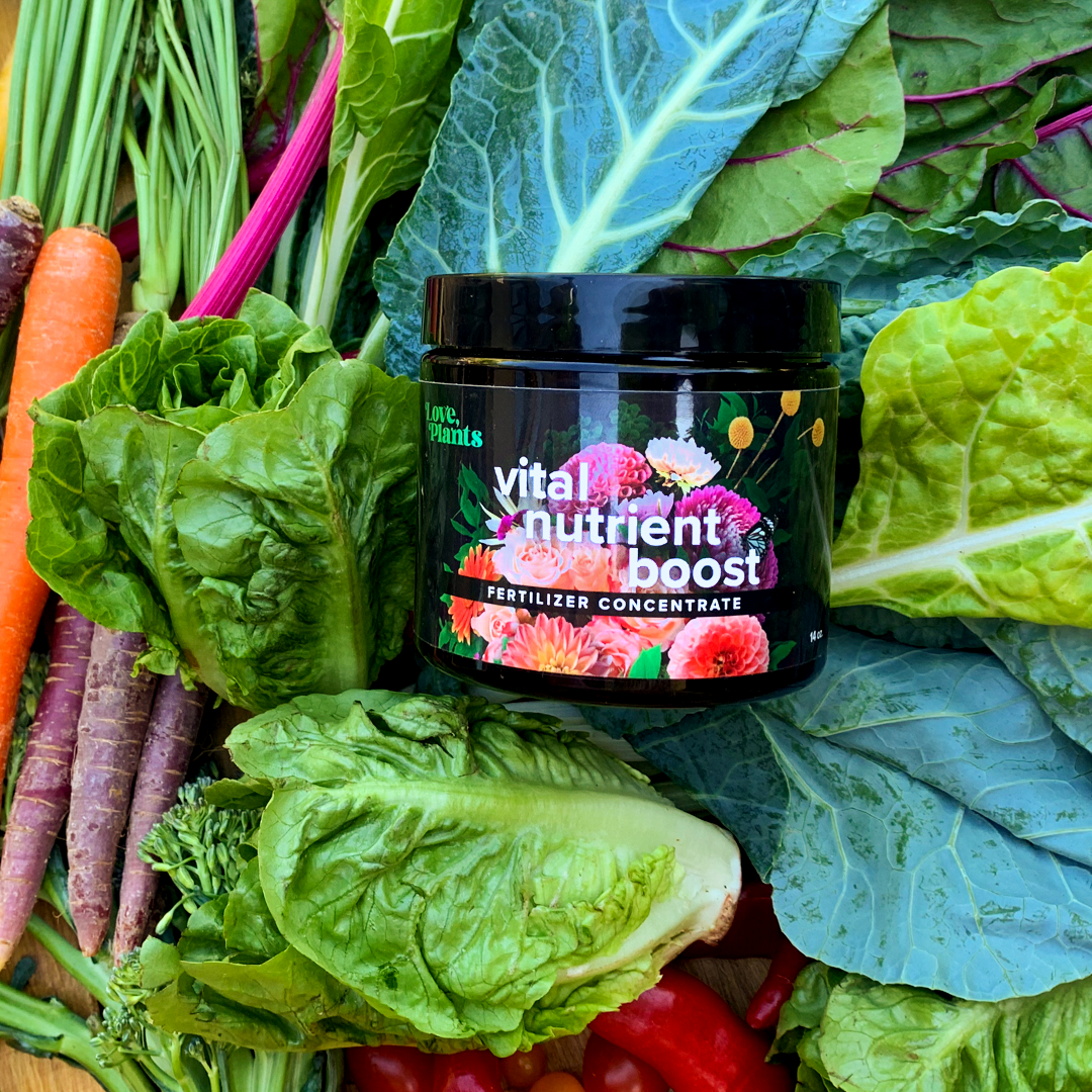 Vital Nutrient Boost by Love, Plants