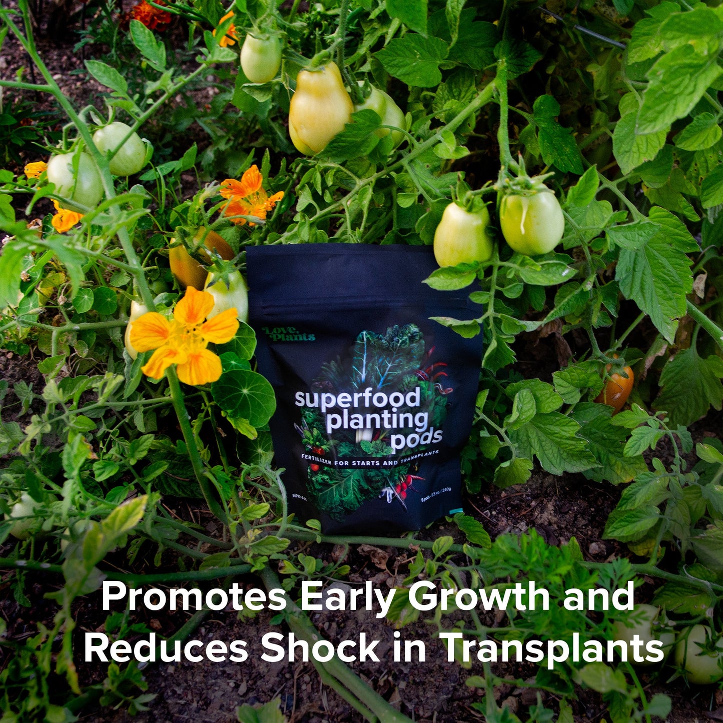 Plant Superfood Pods by Love, Plants