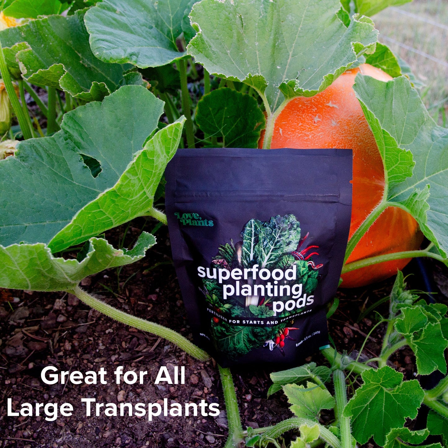 Plant Superfood Pods by Love, Plants