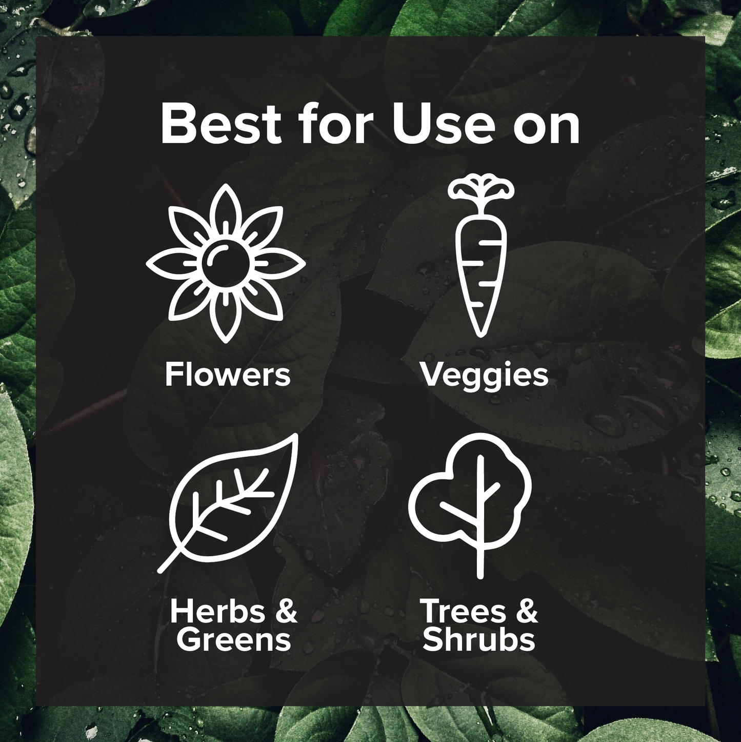Fertile Garden Formula by Love, Plants