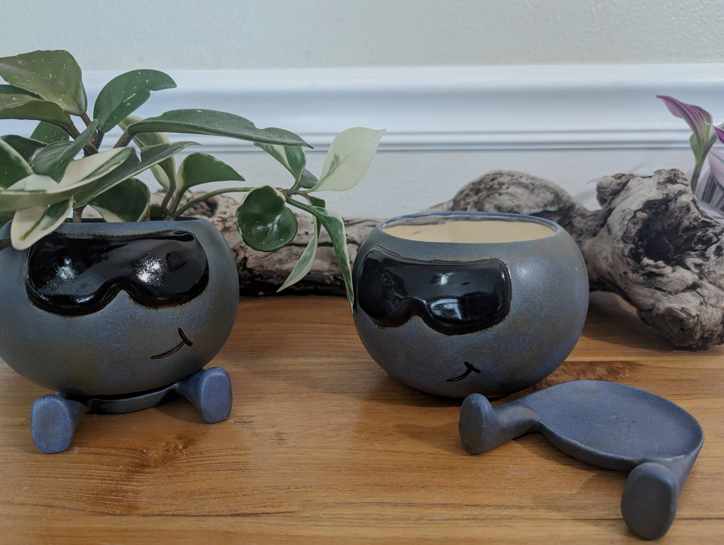 Oddish Planter with Detachable Legs Water Catch