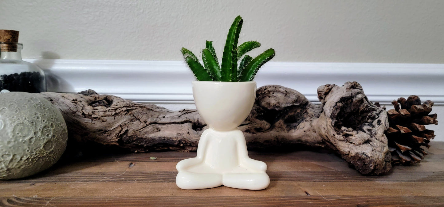Yogi Airhead Plant Holder