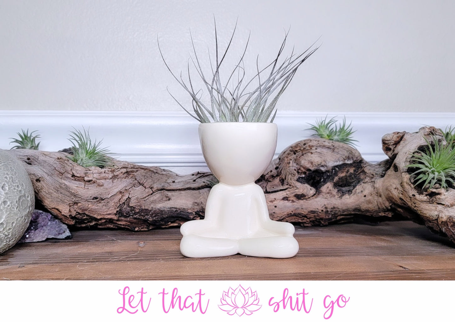 Yogi Airhead Plant Holder