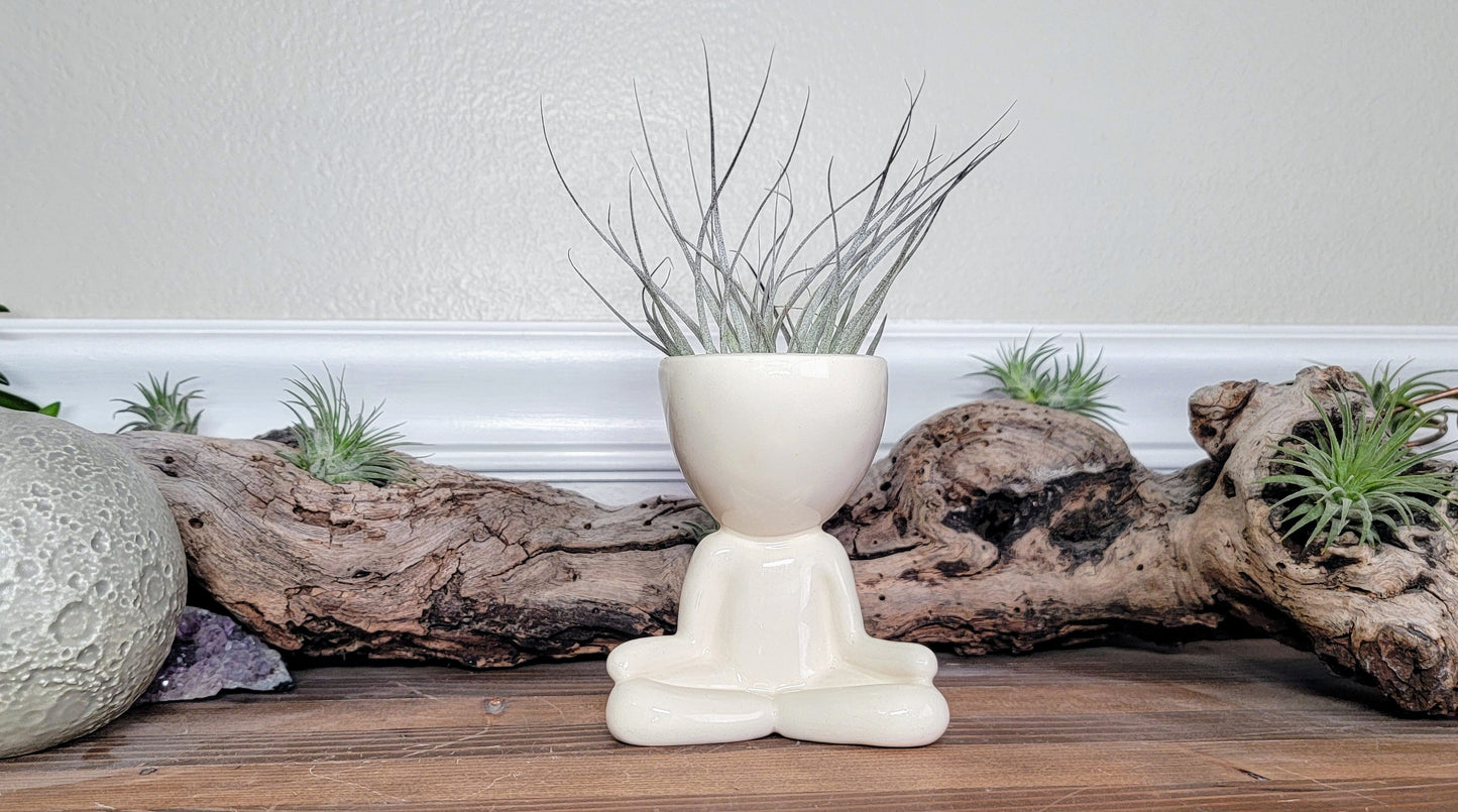 Yogi Airhead Plant Holder