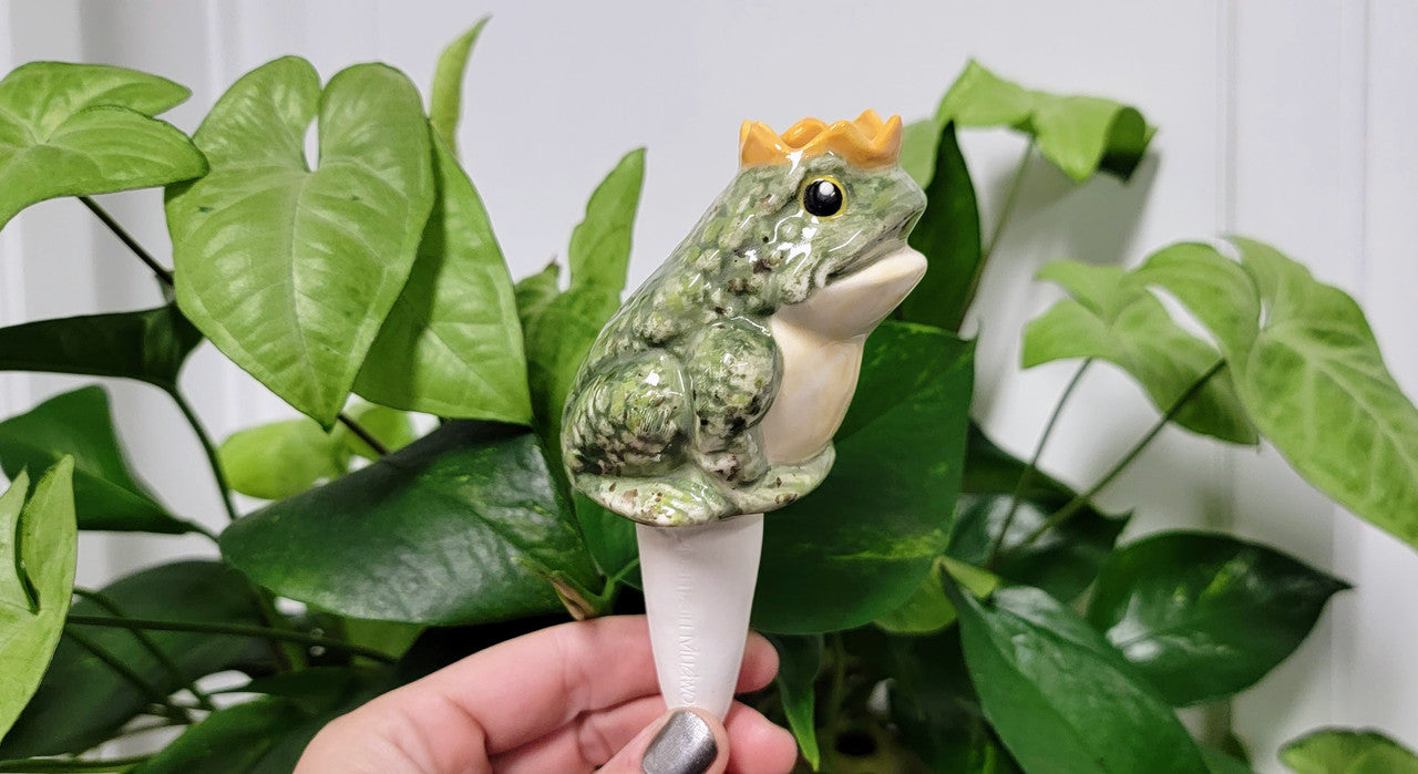 Frog Prince Watering Spike