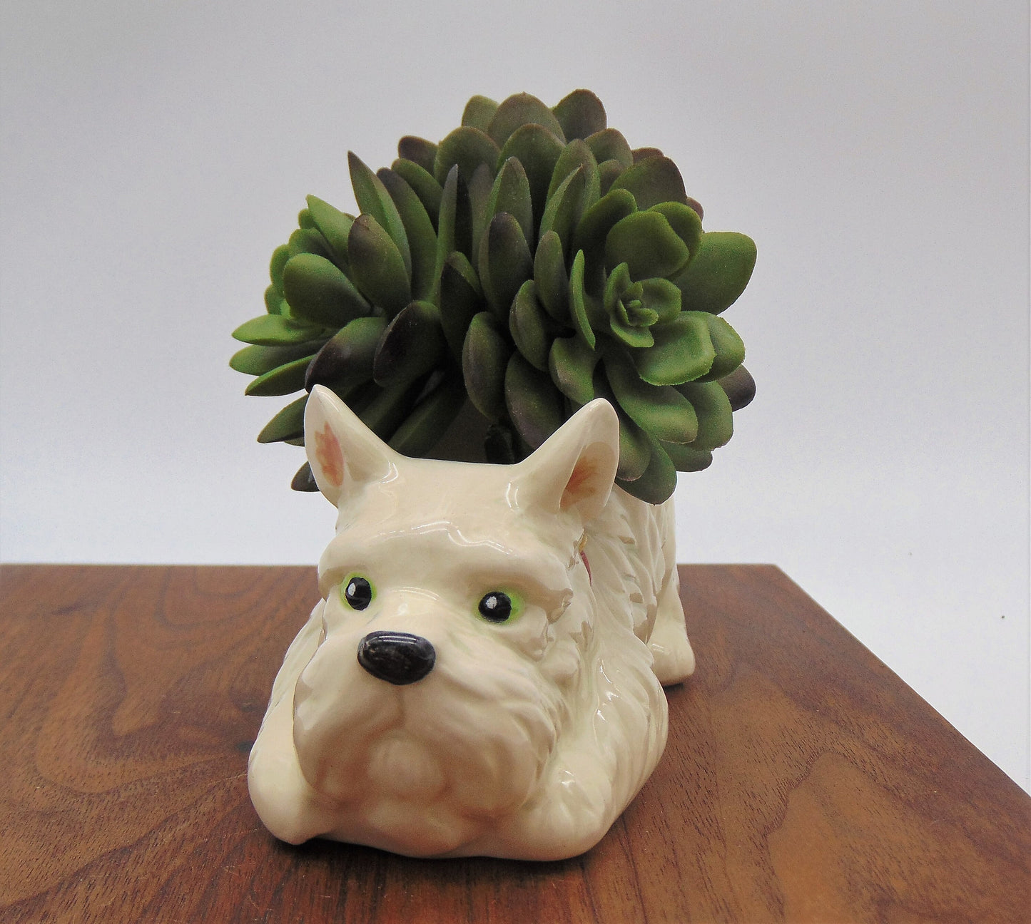 Small Shaggy Dog Planter