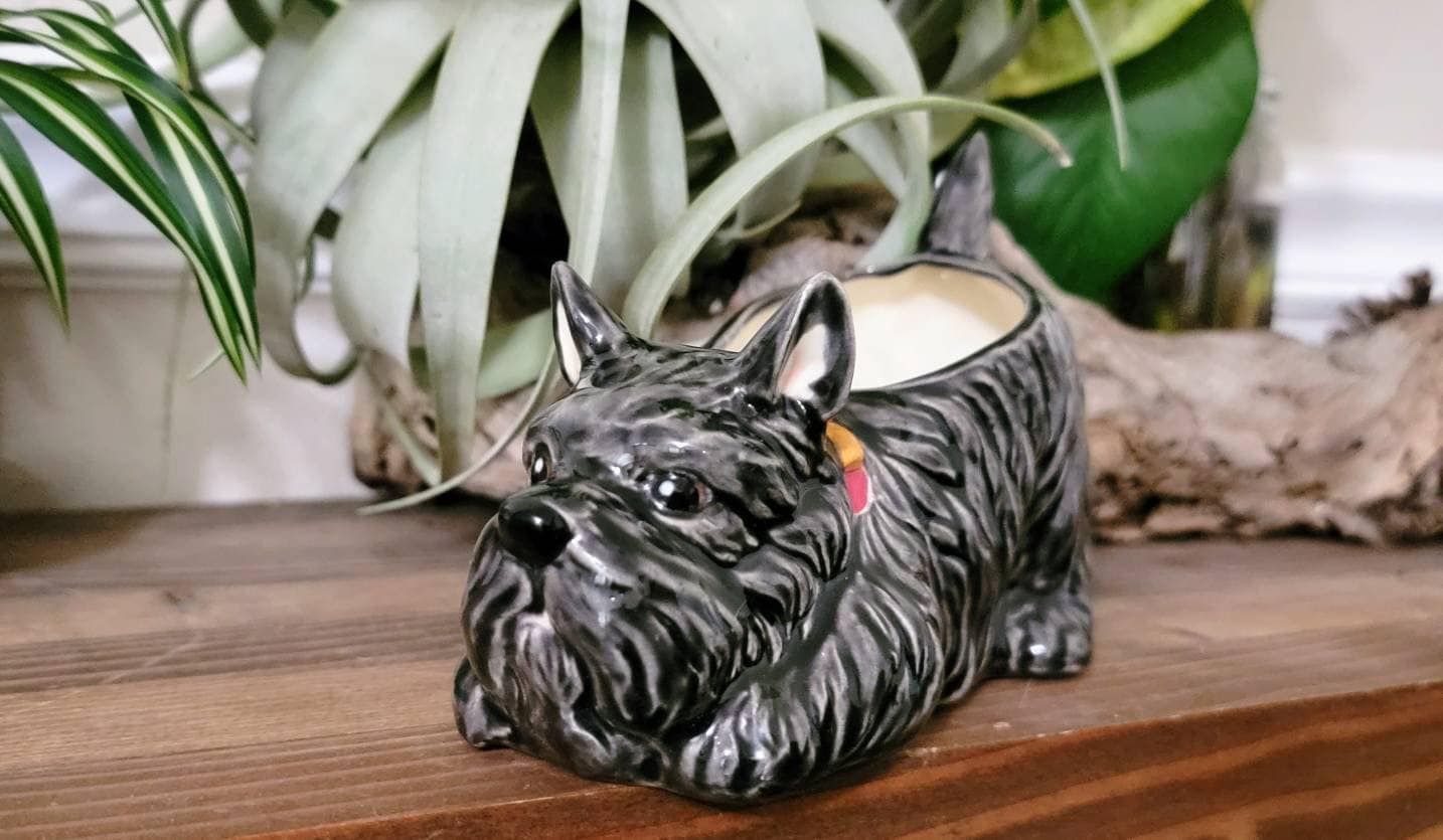 Small Shaggy Dog Planter