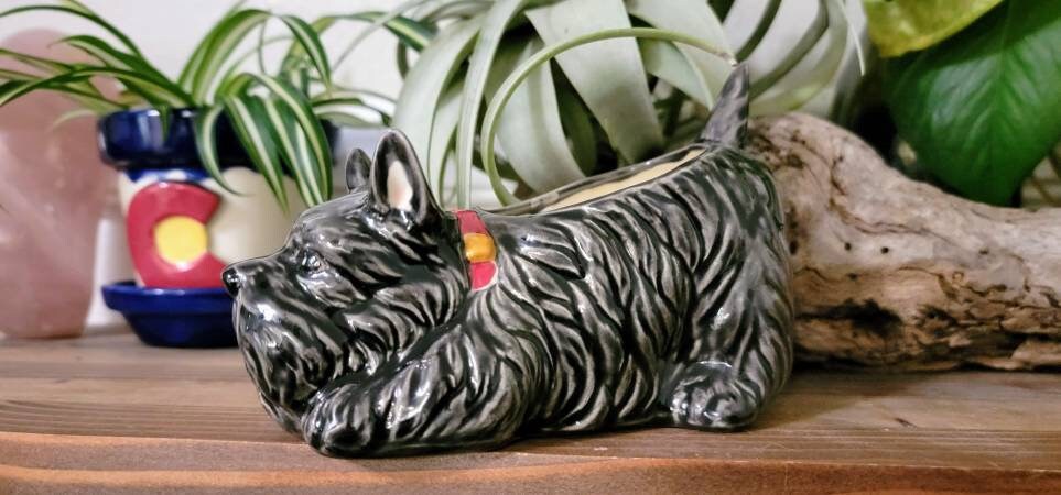 Small Shaggy Dog Planter