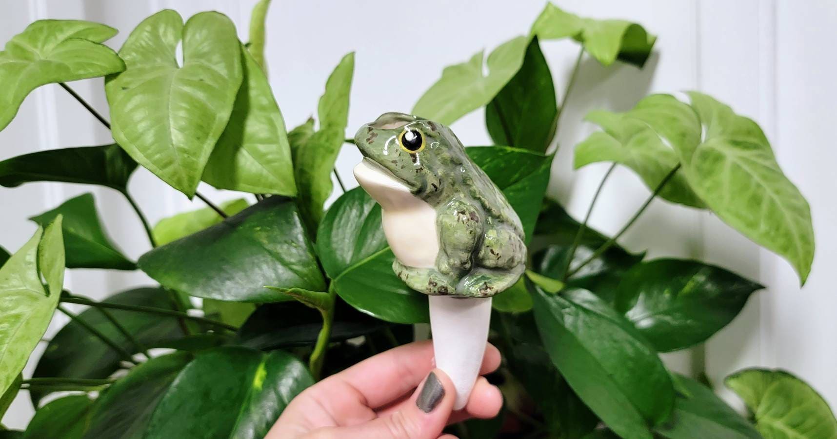 self watering animal plant Frog Watering Spike - Premium Ceramic