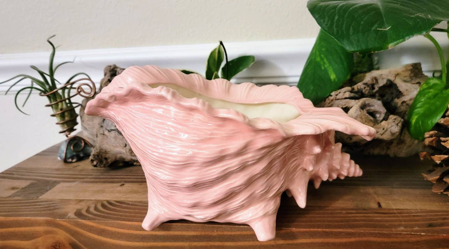 Conch Seashell Ceramic Planter