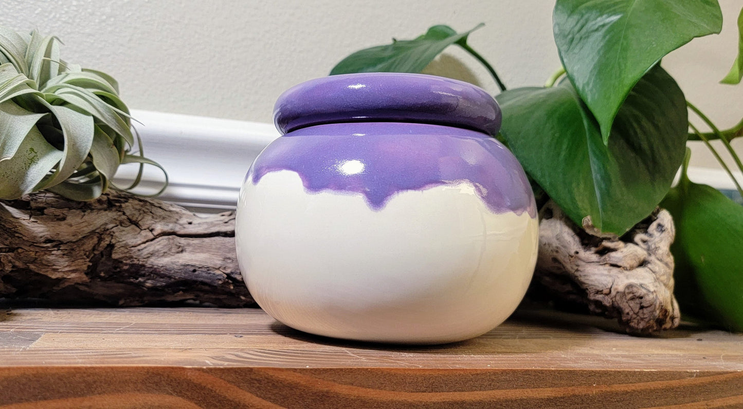 Medium Round Self Watering / African Violet Pot