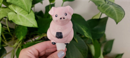 Pig Plant Watering Spike