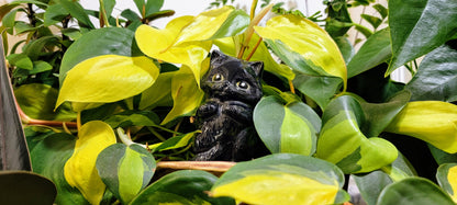 Fluffy Kitten Watering Spike