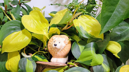 Lion Plant Watering Spike